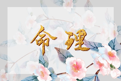 日历万年历查询 今日日历黄历 日历吉时